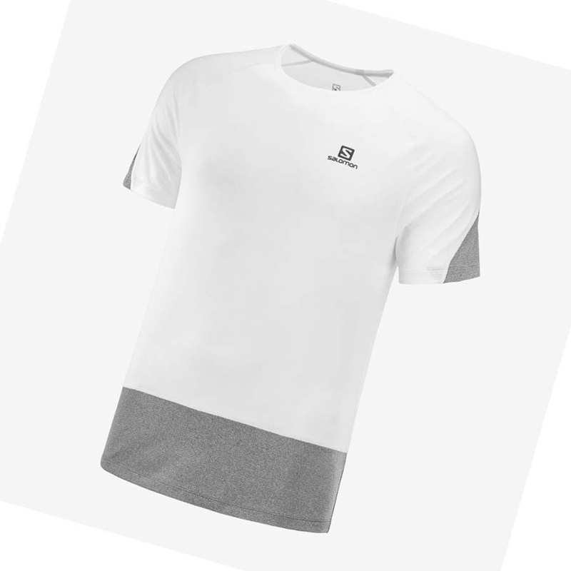 Salomon CROSS RUN T-shirt Herr Vita | 17045-EFCS