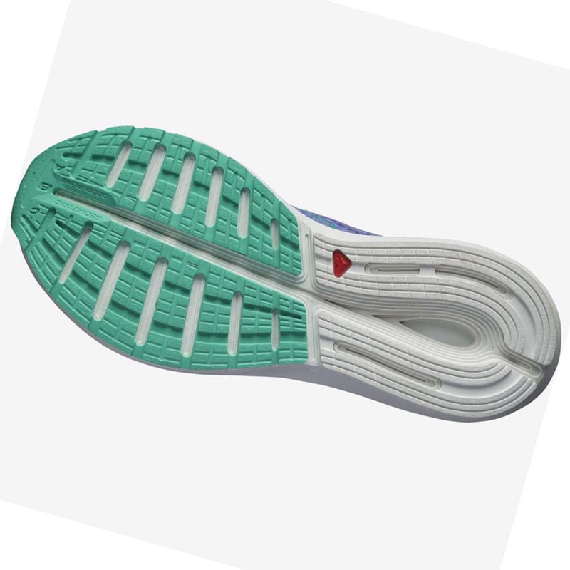 Salomon SONIC 5 BALANCE Löparskor Dam Lila | 48036-FXOW