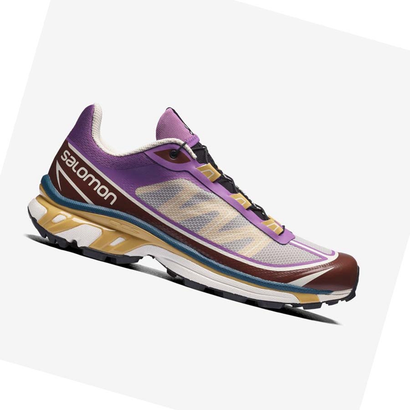 Salomon XT-6 FT Sneakers Herr Lila Choklad | 90731-VBNE